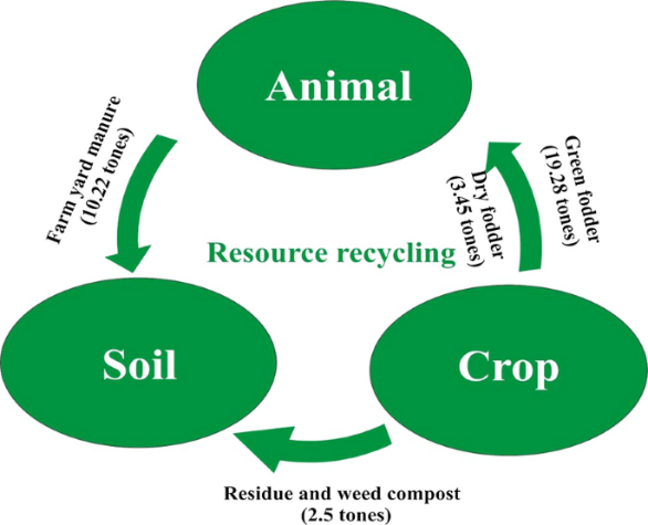 Agriculture