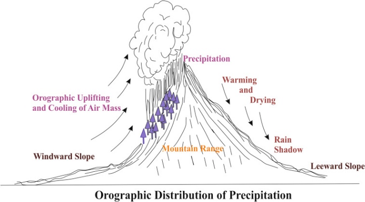 Environment and Disaster Management